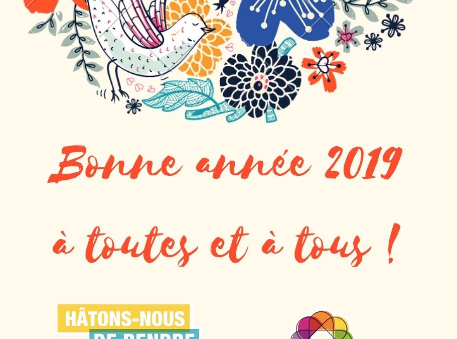 Bonne année 2019 à toutes et à tous ;-)